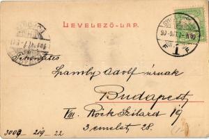 1900 Gyulafehérvár, Karlsburg, Alba Iulia; Losenau emlék, Várbeli székesegyház, Batthyányi könyvtár,...