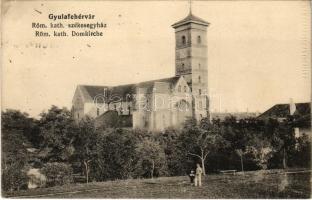 Gyulafehérvár, Karlsburg, Alba Iulia; Római katolikus székesegyház / Röm. kath. Domkirche / cathedral (EK)