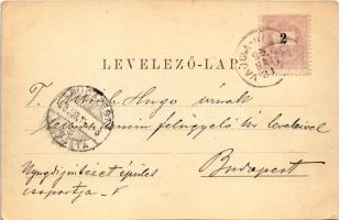 1899 (Vorläufer) Vajdahunyad, Hunedoara; vasgyár, vár. Kiadja a "Hunyadmegyei tört. és reg. tár...