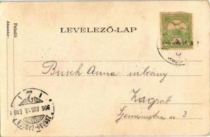 1906 Vajdahunyad, Hunedoara; vár / castle (EK)