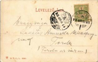 1906 Brassó, Kronstadt, Brasov; Panorama vom Raupenberg. Blick auf innere Stadt / látkép / general v...