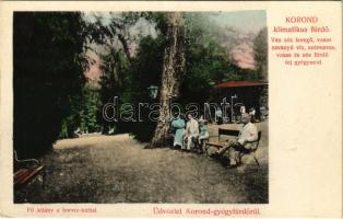 Korond, Corund; Üdvözlet Korond-gyógyfürdőről. Klimatikus gyógyhely. Fő sétány a borvíz kúttal / spa, promenade, spring source, well