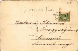 1902 Lugos, Lugoj; Színház. Auspitz Adolf kiadása / Theater / theatre (b)