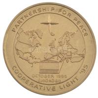 1995. "(NATO) Partnership for Peace - Cooperative Light (Partnerség a békéért - közös fény) Újdörögd" egyoldalas fém emlékérem tokban (42mm) T:UNC