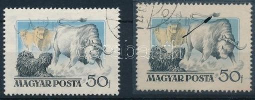 1956 Magyarországi kutyafajták 50f lefelé tolódott kék színárnyalattal + támpéldány