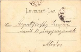 1898 (Vorläufer) Temesvár, Timisoara; Városháza, Jenő herceg tér / Stadthaus (Prinz Eugen-Platz) / t...