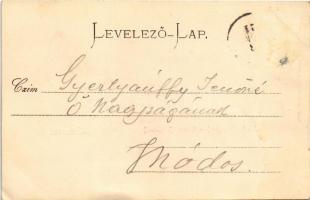 Temesvár, Timisoara; Zárda (Józsefváros) / Kloster (Josefstadt) / nunnery (fl)