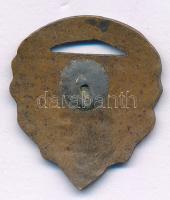 ~1940. Levente díszjelvény, bronz jelvény, tű nélkül. "SZEBB JÖVŐT" (25x21mm) T:XF kis zom...