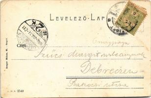 1905 Máramarossziget, Sighetu Marmatiei; Fő tér, piac, üzletek. Berger Miksa kiadása / main square, ...