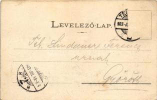 1903 Temesvár, Timisoara; Pályaudvar madártávlatból, vasútállomás / railway station (fl)