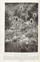 Dulovits Jenő: Művészi fényképezés. Bp., 1942, szerzői kiadás (Stephaneum-ny.), 277+(10) p. Második ...