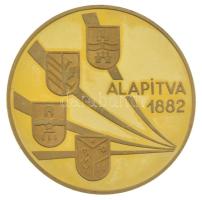 DN "Taurus Nívódíj" kétoldalas, aranyozott érdemérem (42,5mm) T:AU (eredetileg PP)