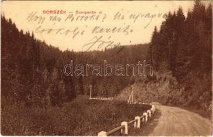 1912 Borszék, Borsec; Szerpentin út. Pollatschek Gyula kiadása / road (ázott sarok / wet corner)