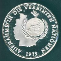 Németország 1989. "ENSZ" Ag 20g emlékérem T:PP