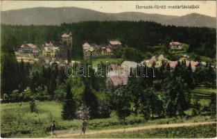 1915 Borszék-fürdő, Baile Borsec; madártávlatból / villas (EK)