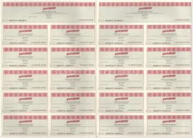 Budapest 1998. "Novotrade Részvénytársaság" 2db névre szóló, magyar és angol nyelvű részvé...