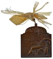 Ifj. Vastagh György (1868-1946) 1909. "XVI. Nemzetközi Orvos Kongresszus - Budapest" bronz...