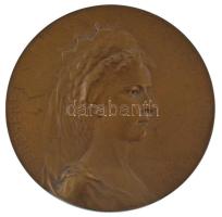 Ifj. Vastagh György (1868-1946) 1911. "Erzsébet királyné - Magyarország védő angyala / Drezdai Egészségügyi Világkiállítás - A Magyar Állam Pavillonja" bronz emlékérem (60mm) T:AU kis patina  Hungary 1911. "Queen Elisabeth - Protector angel of Hungary / International Hygiene Exhibition in Dresden" commemorative bronze medallion. Sign: György Vastagh Ifj. (60mm) C:AU small patina HP 6364.