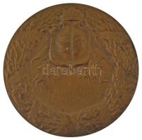 Ifj. Vastagh György (1868-1946) 1911. "Erzsébet királyné - Magyarország védő angyala / Drezdai ...