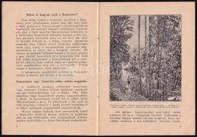 cca 1920 Kriegner-féle Reparator, képes tájékoztató és reklámprospektus, a borítón Pólya Tibor (1886...