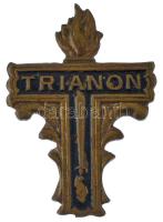 ~1920. &quot;Trianon&quot; festett bronz gyászjelvény (30x21mm) + T:XF tű letört