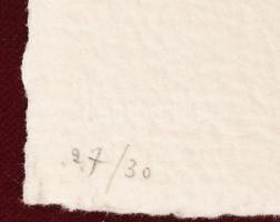 Hajdú István (Etienne Hajdu, 1907-1996): Érzékiség, 1974. , Dombornyomás, merített papír. Jelzett, s...