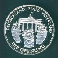 Németország 1989. "A fal megnyitása" Ag 20g emlékérem T:PP