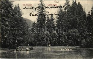 1911 Lublófüred, Lubló-fürdő, Kúpele Lubovna (Ólubló, Stará Lubovna); Tó részlet csónakázókkal. Sima Antal kiadása / lake, rowing boat, spa (EK)