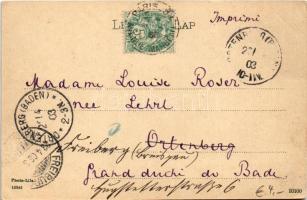 1903 Rajecfürdő, Rajecké Teplice; Dr. Flamm villa, csónakázók. művészlap / "My Castle" Dr....