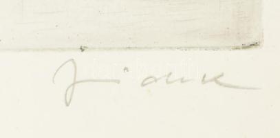 J... jelzéssel: Giuseppe Verdi portréja. Rézkarc, karton.Jelzett. 38x30 cm