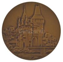 1971. "Vajdahunyadvár" kétoldalas bronz emlékérem, hátoldalán "Magyarország - Románia, Budapest 1971" gravírozással (70mm) T:AU