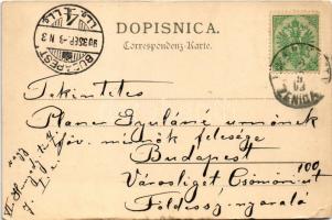 1903 Bosnischer Fellhändler / Bosnyák szőrmekereskedő / Bosnian fur vendor, folklore + "K.u.k. ...