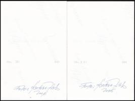 2006 Fotók egy siófoki autósreklámról, 4 db, Katona Miklós fotóművész aláírásával, 10×15 cm