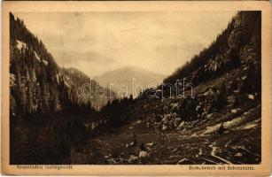 Bucsecs-hegység, Butschetsch, Muntii Bucegi; Bucsecs és menedékház. H. Zeidner / Kronstädter Gebirgswelt, Butschetsch mit Schutzhütte / mountain, tourist house, chalet (EK)