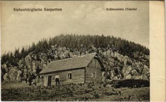 Csukás, Tészla, Krähenstein, Ciucas (Erdélyi Kárpátok, Siebenbürgische Karpathen); menedékház. Jos. Drotleff Nr. 364. / mountain rest house (fl)