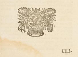 Szegedy János) Szegedi Johannes: Rubricae sive synopses titulorum, capitum, & articulorum, unive...