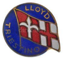 Olaszország DN &quot;Lloyd Triestino&quot; zománcozott bronz jelvény (18x21mm) T:AU