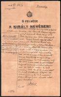 1906 A komáromi királyi törvényszék ítélete, amelyet malacelhullási ügyben hozott