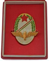 ~1970-1980. "Kiváló Vasutas" műgyantás kitüntető jelvény, eredeti tokban (44x30mm) T:AU