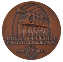 Képíró Zoltán (1944-1981) 1981. "Oroszlányi Szénbányák 25 / Eocén program megvalósulása - Márku...