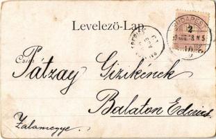 1899 (Vorläufer) Cats. Art Nouveau, litho (EM)