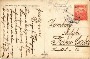 1919 Lady art postcard (fa)