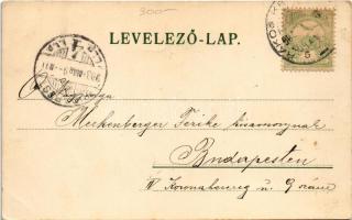 1903 Floral litho greeting card with angels (EK)