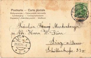 1904 Glückliches Neujahr / New Year greeting art postcard. Art Nouveau, Emb. litho (b)