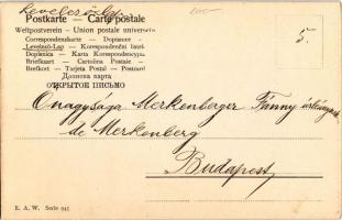 1903 Die besten Glückwünsche zum neuen Jahre / New Year greeting art postcard. E.A.W. Serie 945