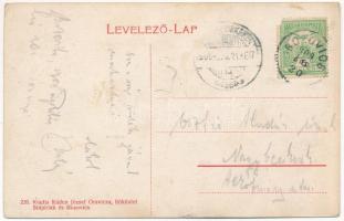 1909 Bozovics, Bozovici; Postamt, Kaserne, Kath. Kirche, Unterer Wasserfall der Koronivi Quelle / po...