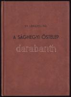 Dr. Lengyel Pál: A sághegyi őstelep. A szerző által DEDIKÁLT példány! Celldömölk, 1965, Celldömölk Községi Tanácsa Végrehajtó Bizottsága. Fekete-fehér képekkel illusztrált. Kiadói műbőr-kötés, jó állapotban. Megjelent 1000 példányban.