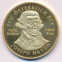 Ausztria ~1995. "ECU Österreich ECU - Joseph Haydn / Austria - Servus Europa" aranyozott Cu-Ni emlékérem T:PP  Ausztria ~1995. "ECU Österreich ECU - Joseph Haydn / Austria - Servus Europa" gilt Cu-Ni commemorative medallion C:PP