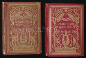 Kisfaludy Sándor: A kesergő szerelem; A boldog szerelem. Magyar Remek Írók I-II. Pest, 1858., Heckenast Gusztáv. Kiadói aranyozott egészvászon-kötés, kopott borítókkal, a II. kötet gerincén sérüléssel.