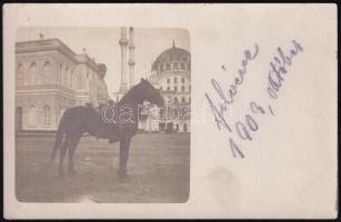 1909 Isztambul, lovas katona portréja, fotólap, 9×13 cm